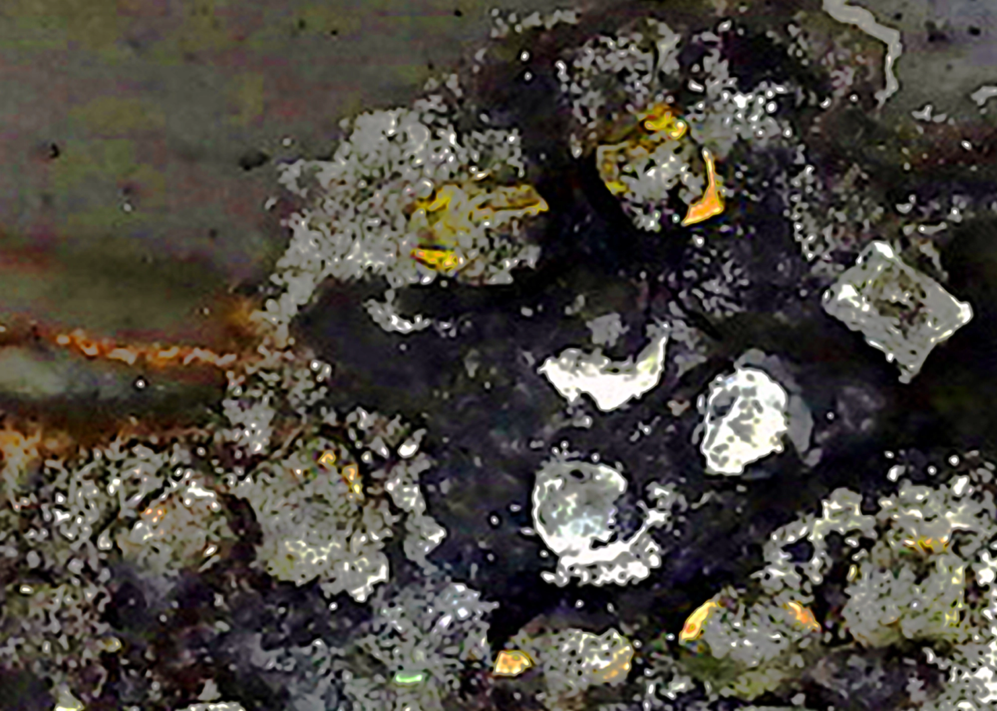 arteaga--2013-eclosion-02.webp