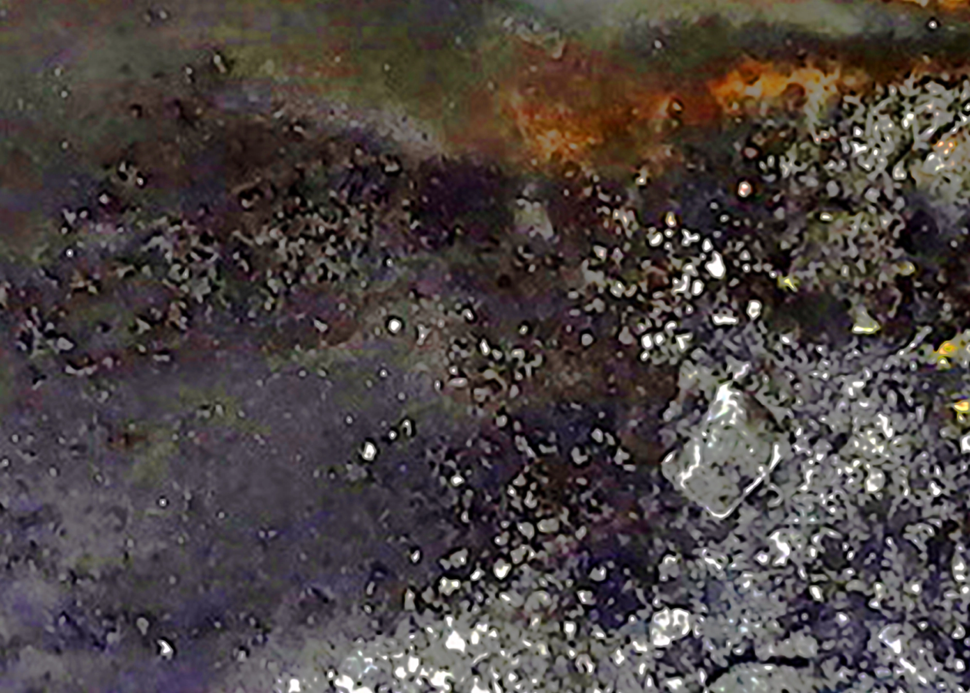 arteaga--2013-eclosion-04.webp